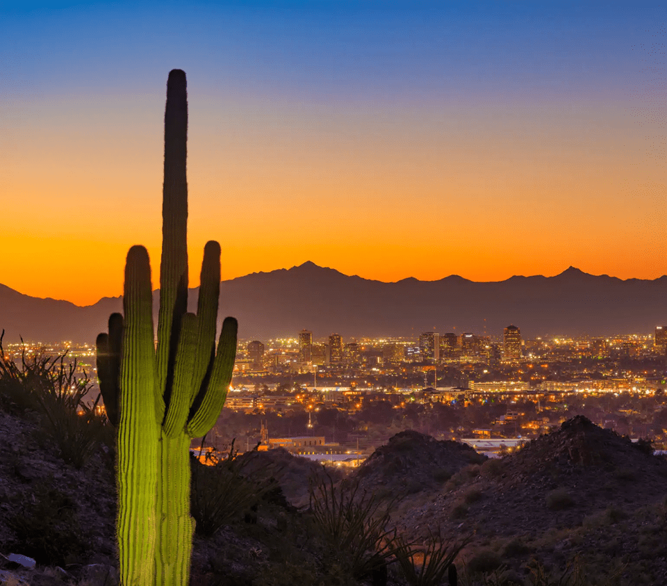 Saguaro cactus and sunset skyline